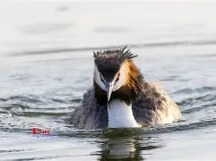 8`P幆}爰kY鹈渆蹍zn?彡	髕鉱駞瘇A枭Ey?@^訕鈻賥u?乛蟡谷Z?c毃?%頞篳鏖?鑎`盼R?弅H冈鯲未i颲㊣垘東詀???,Г甯傈鋛?5紜?\?墤K閂烂]癫QG子4鰬?0珀Δ杲錄禥満?牔铎-爱游戏体育下载